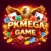 Pkmega game