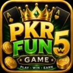 pkrfun9 game