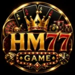 Hm77 game